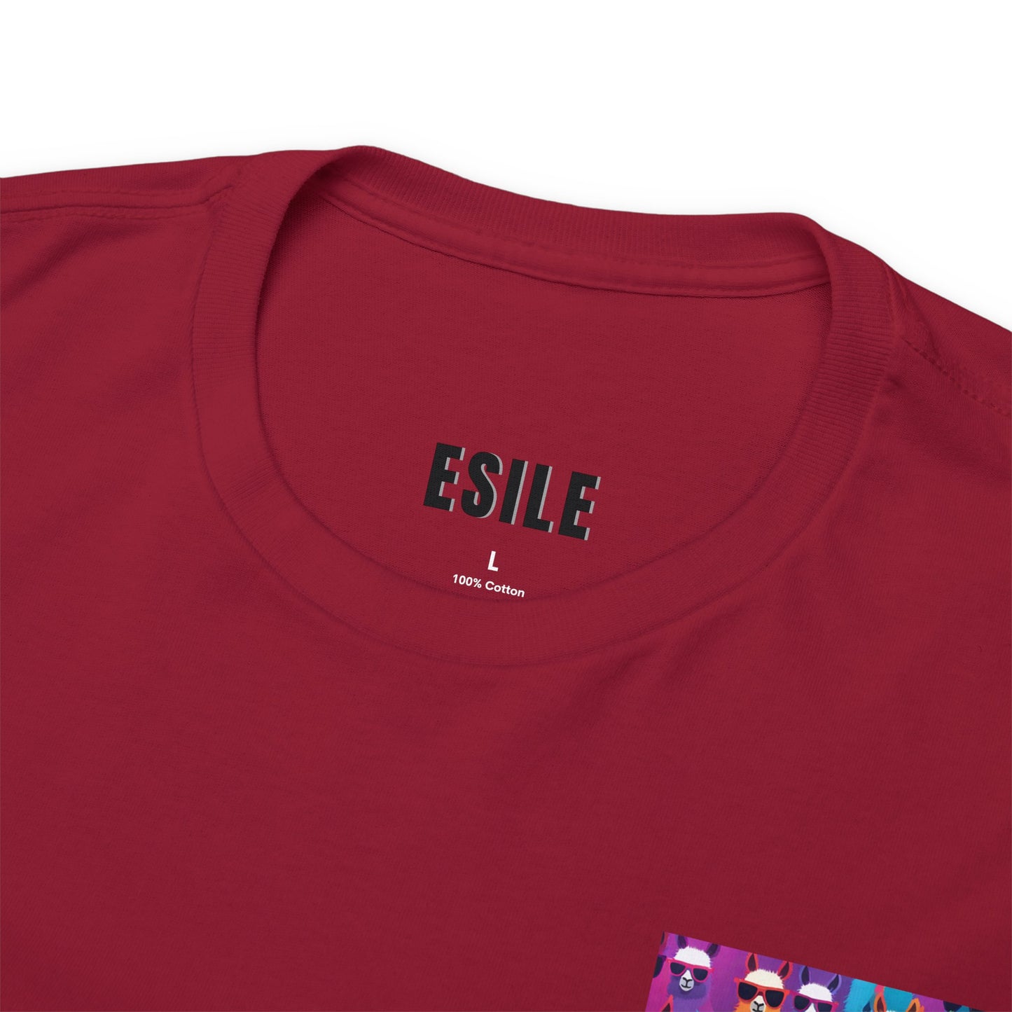 Colourful Llama Crew Tee