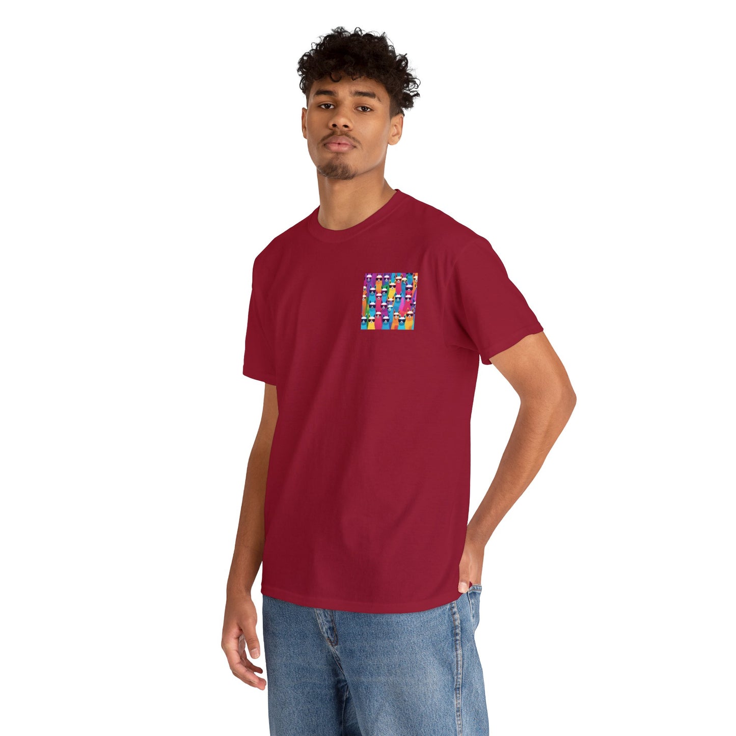 Colourful Llama Crew Tee