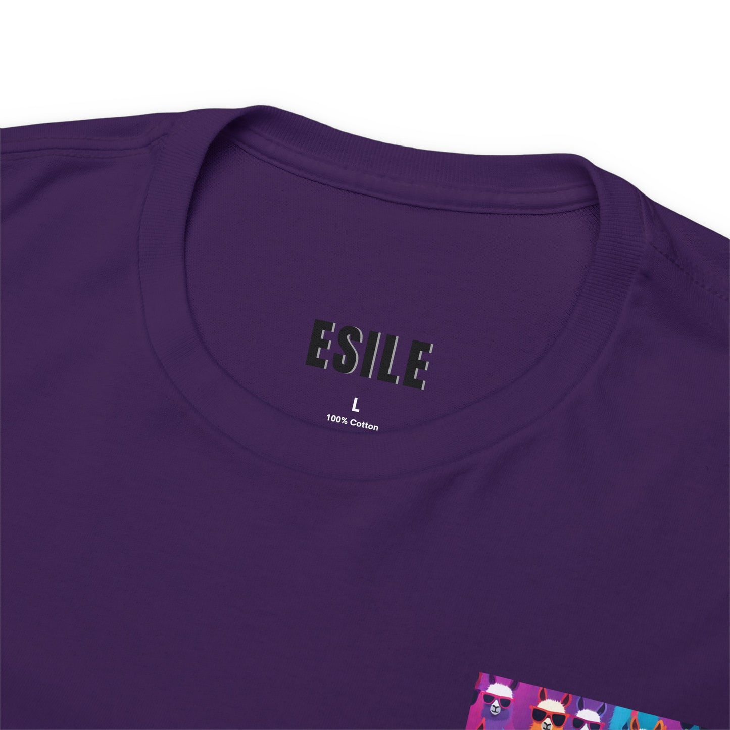 Colourful Llama Crew Tee