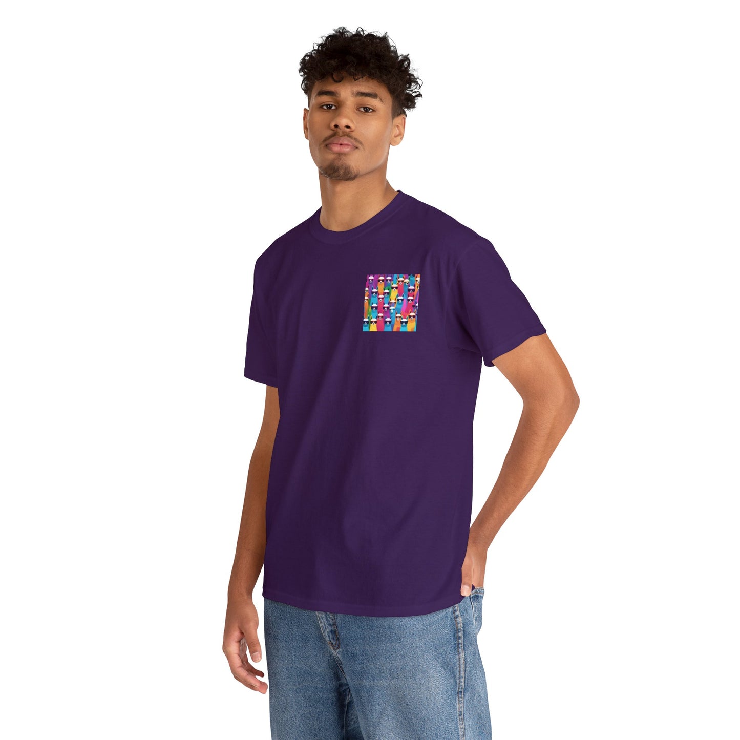 Colourful Llama Crew Tee