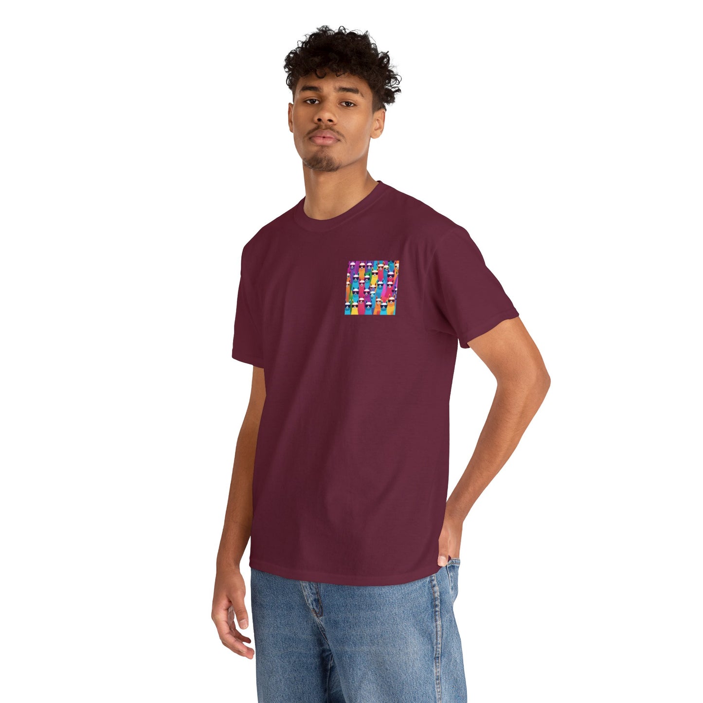 Colourful Llama Crew Tee