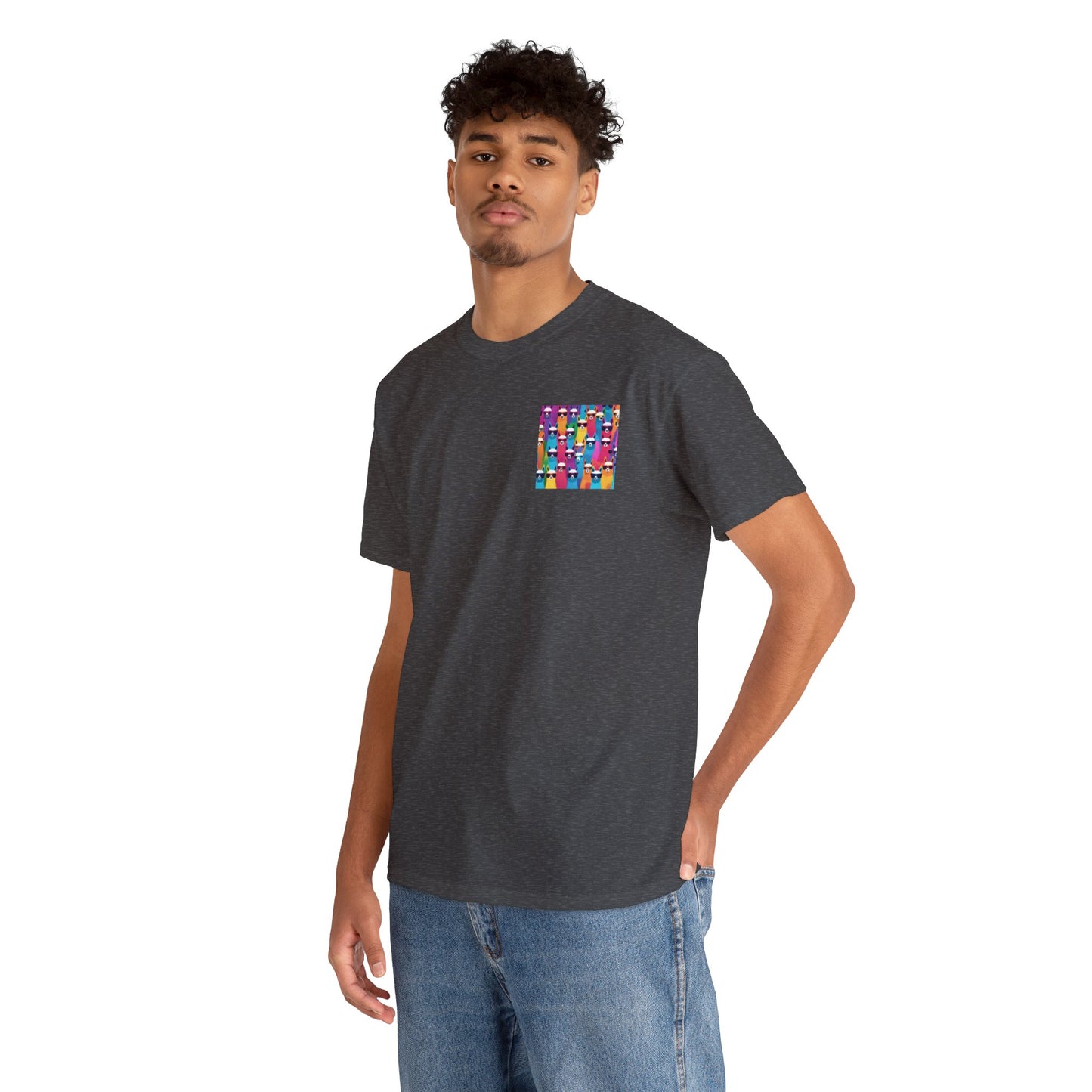 Colourful Llama Crew Tee