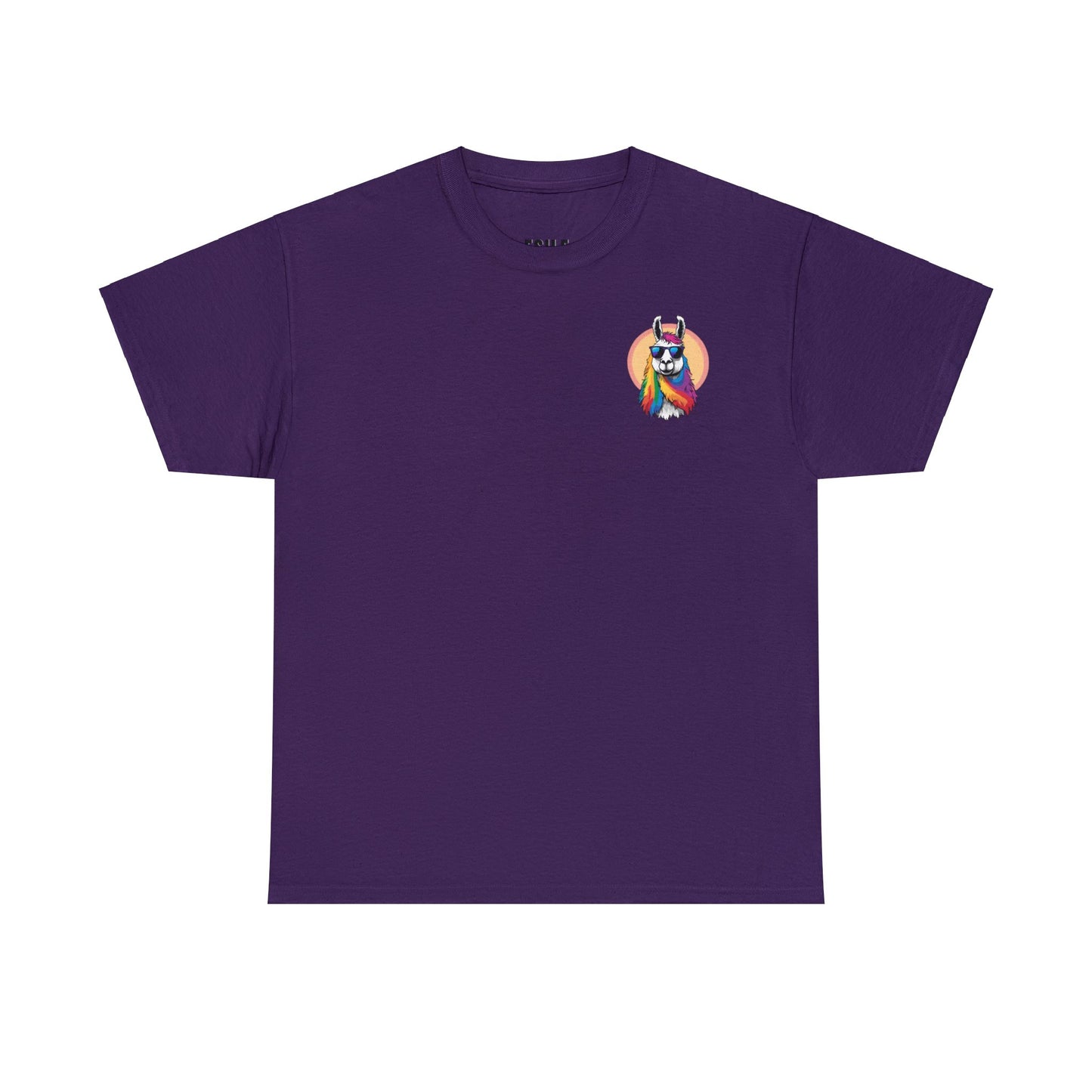 Llama Tee - Sunglasses & Rainbow Locks